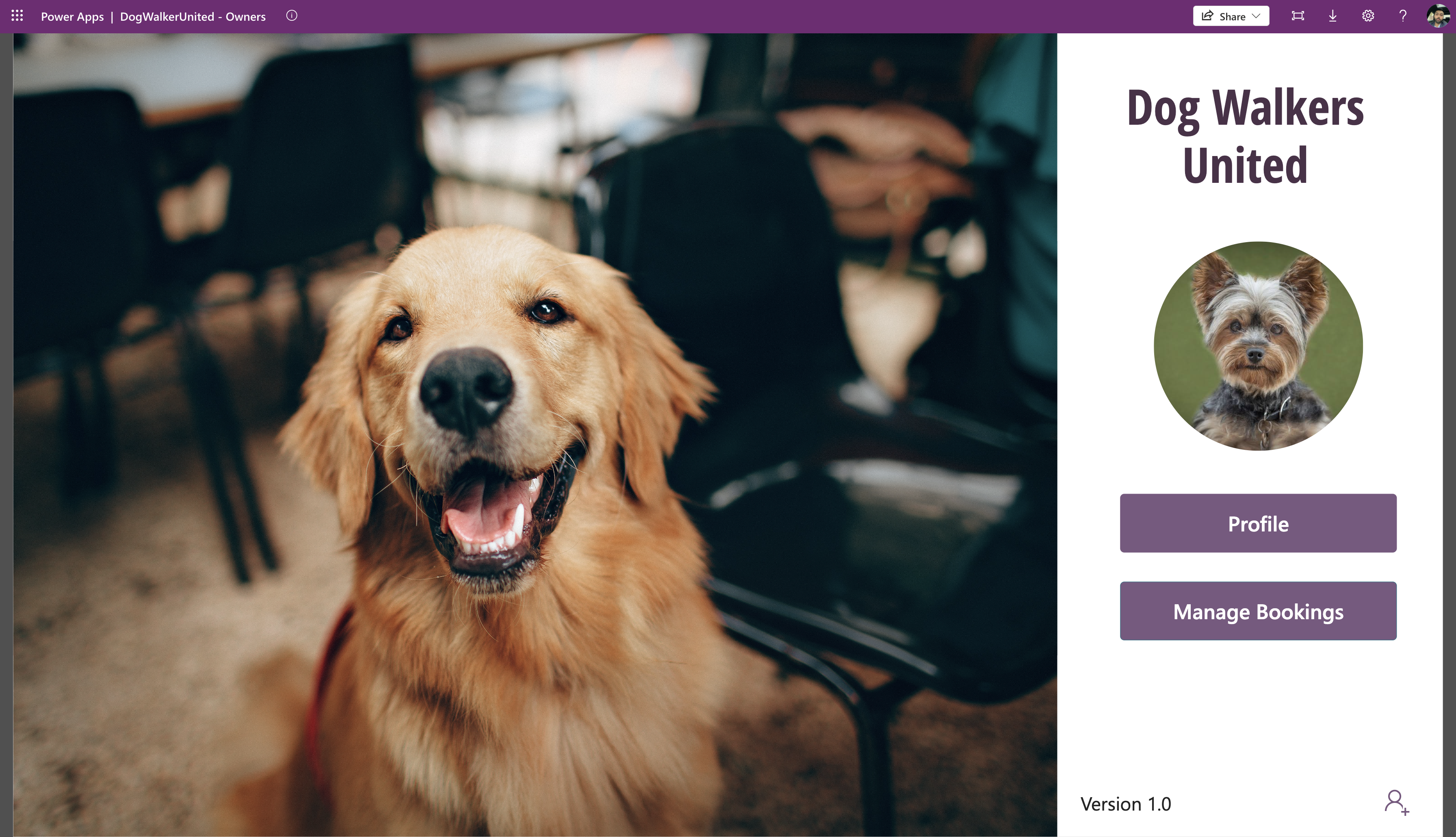 DogWalkersUnited - PowerApps